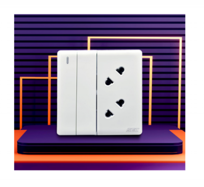 SEC 2Switch & 2Socket